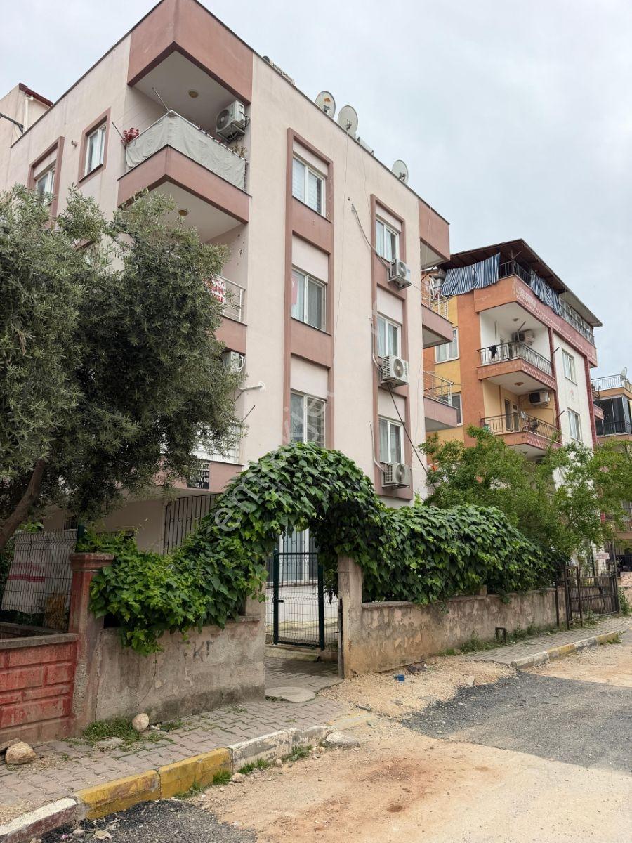 Satılık 2+1 Daıre 2 Banıyo Wc
