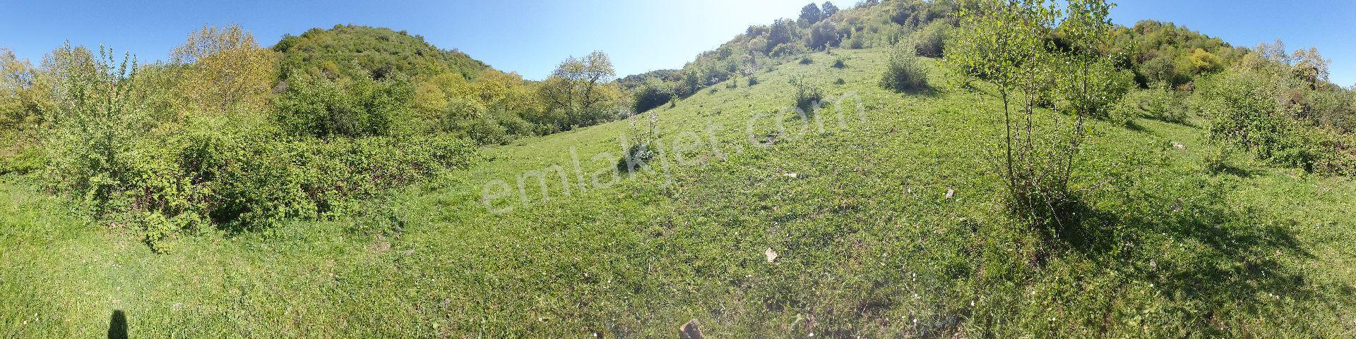 Deniz Manzaralı Dereye Sıfır Turiz İmarlı Tarla - Görsel 5