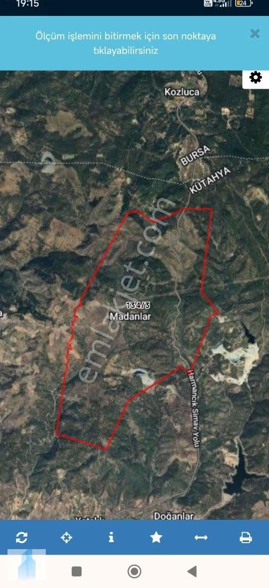 Kütahya Tavşanlı Madanlar Da Köy İçinde Satılık 5300 M2 Tek Tapu - Görsel 2