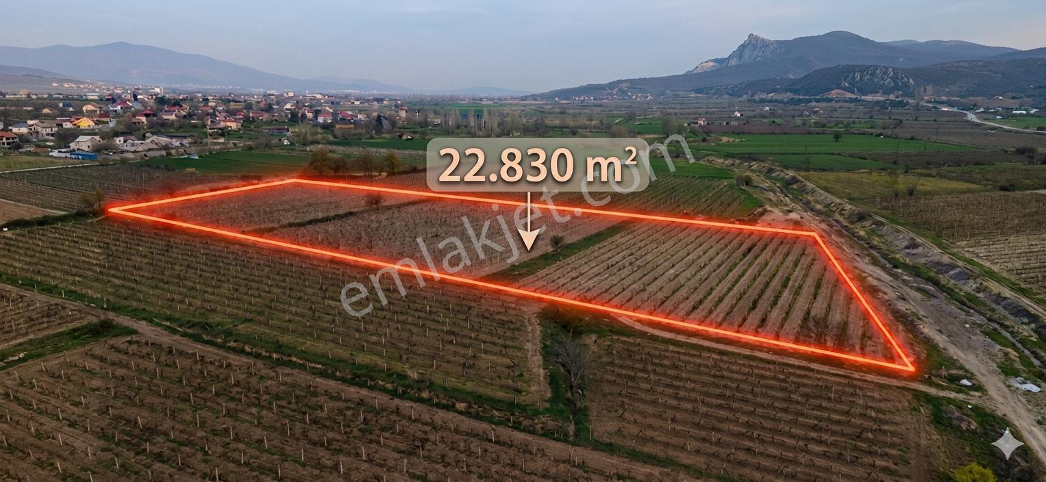 Honaz Kocabaş Toplam 22830m2 Ekili Üzüm Bağı 8 Dönümü Hazine - Görsel 2