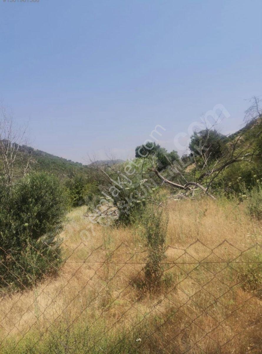 Satılık Tarla