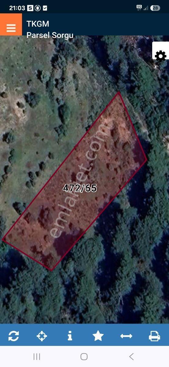 Yetkili Ofis-göcek'te 3 Dönüm Müstakil Doğal Yaşam Ve Yatırım - Görsel 2