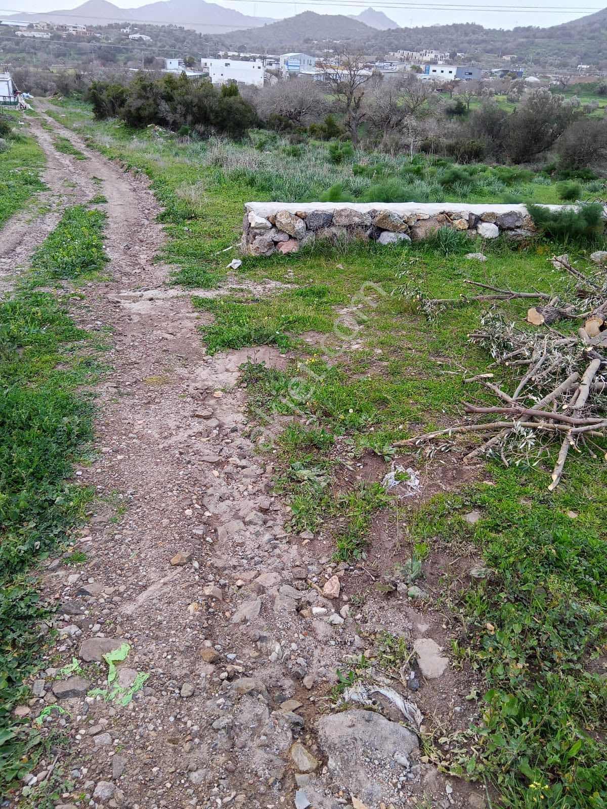 Islamhanelerinde Satılık 500 M2 Kooperatif Hissesi Arsa - Görsel 4