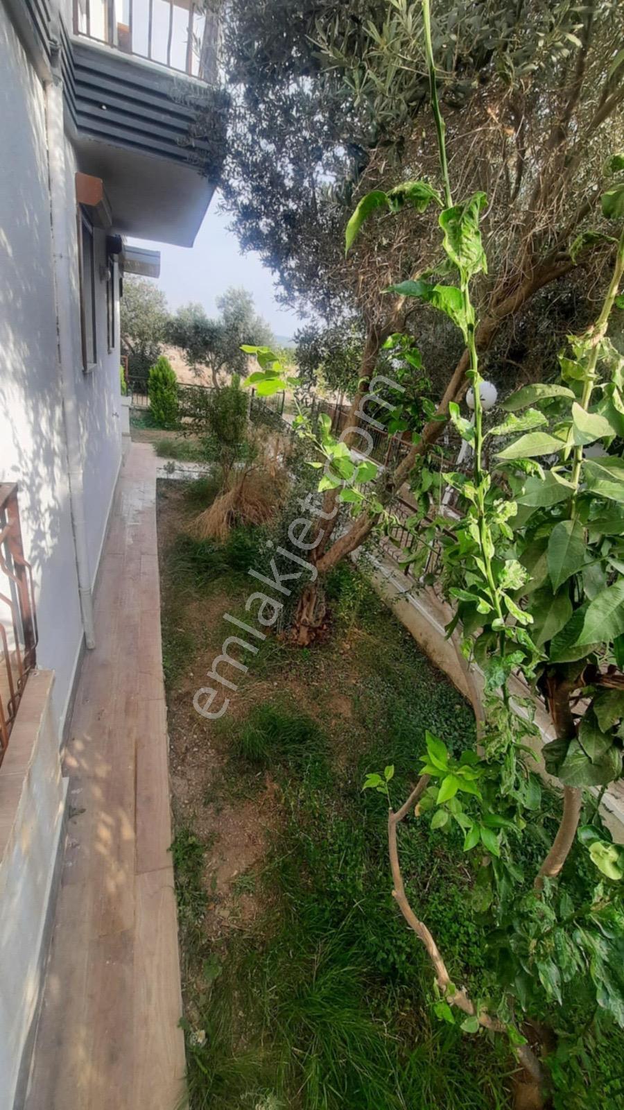 Didim Yeşilkent Yolu'nda 4+1 Bahçeli Villa - Görsel 9