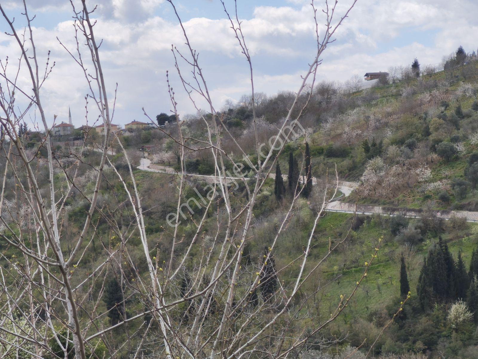Kocaeli İzmit Arızlı Satılık Manzaralı 9568 M2 Tarla Üzüm Bağı - Görsel 14