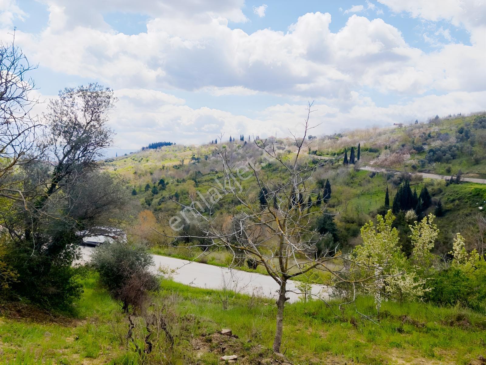 Kocaeli İzmit Arızlı Satılık Manzaralı 9568 M2 Tarla Üzüm Bağı - Görsel 20