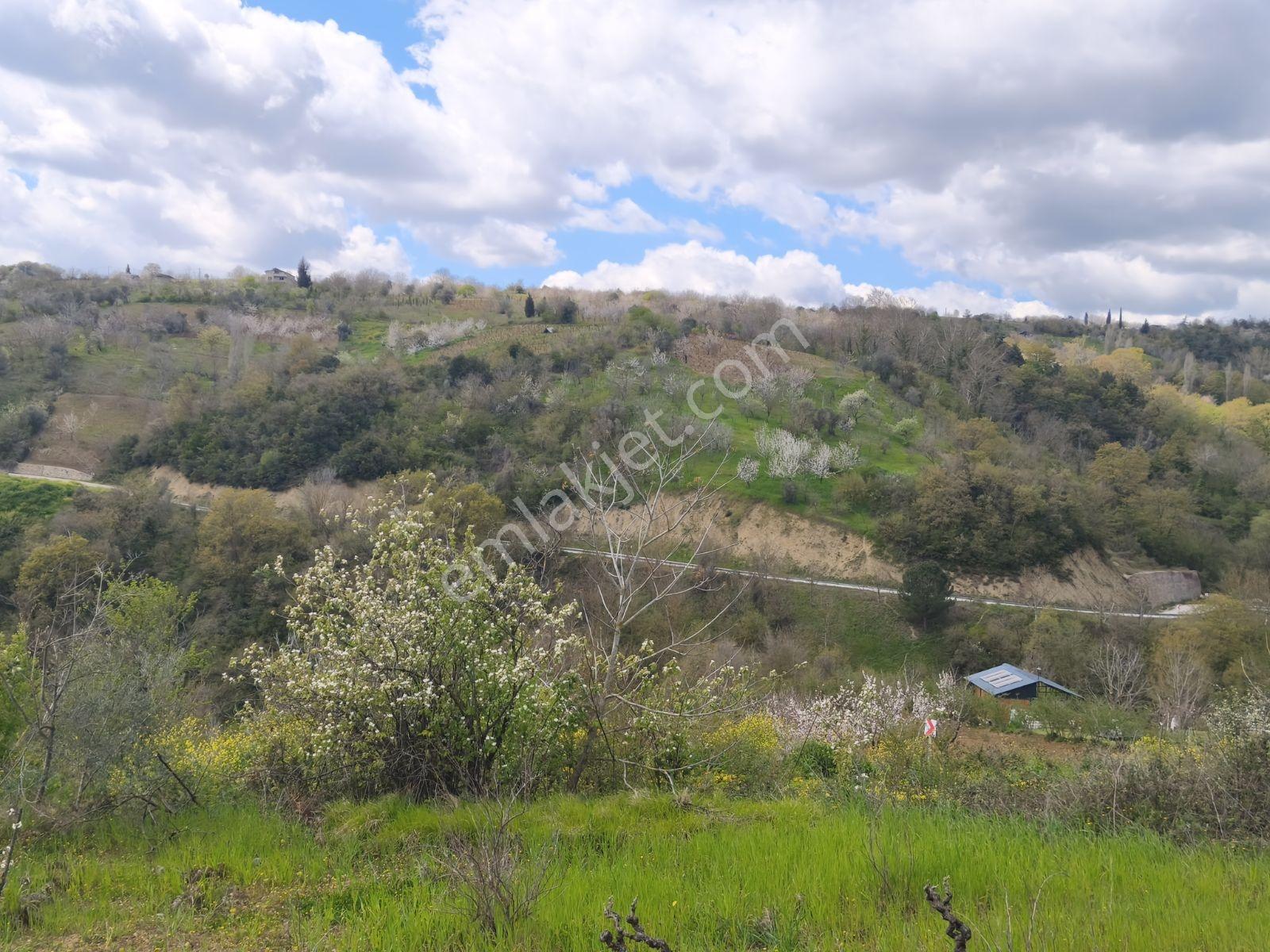 Kocaeli İzmit Arızlı Satılık Manzaralı 9568 M2 Tarla Üzüm Bağı - Görsel 26