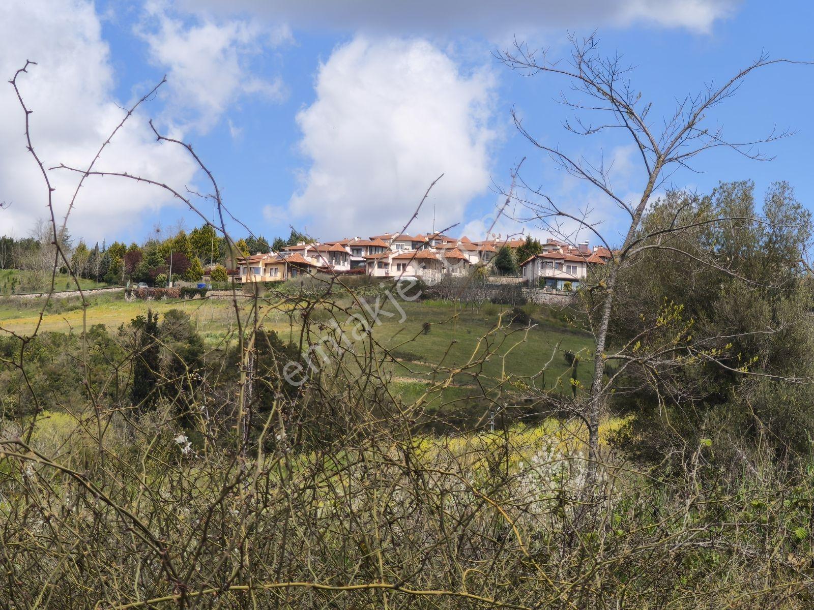 Kocaeli İzmit Arızlı Satılık Manzaralı 9568 M2 Tarla Üzüm Bağı - Görsel 21