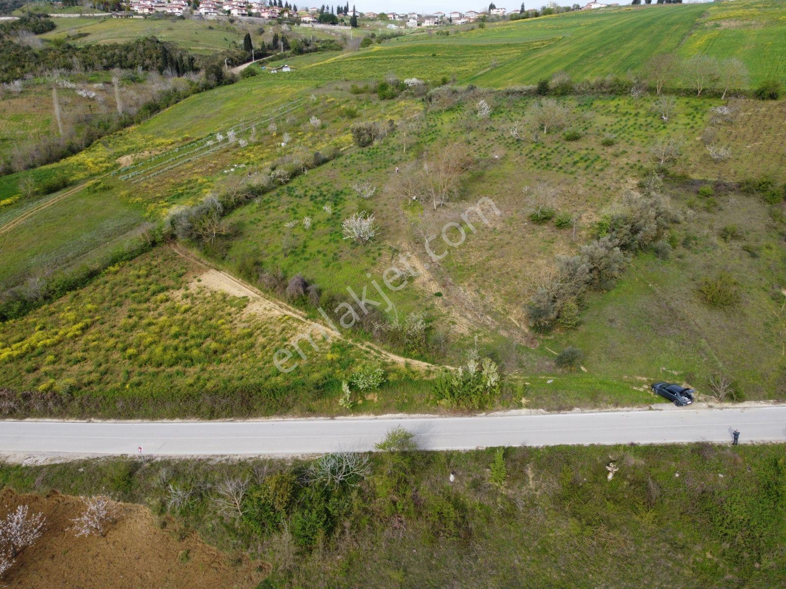 Kocaeli İzmit Arızlı Satılık Manzaralı 9568 M2 Tarla Üzüm Bağı - Görsel 33