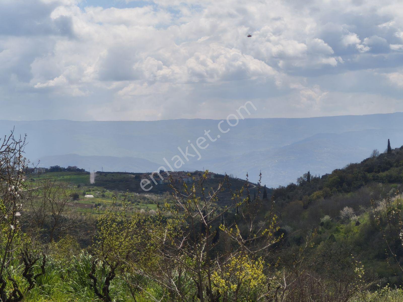 Kocaeli İzmit Arızlı Satılık Manzaralı 9568 M2 Tarla Üzüm Bağı - Görsel 7