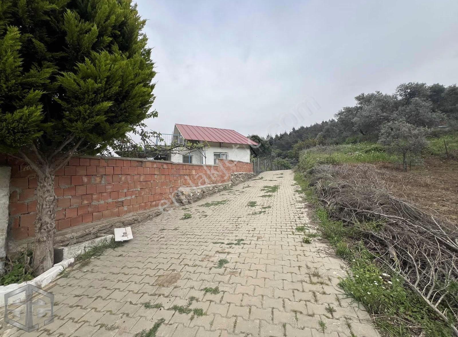 İzmir Tire Halkapınar Köyünde 5989m2 Bahçe - Görsel 17