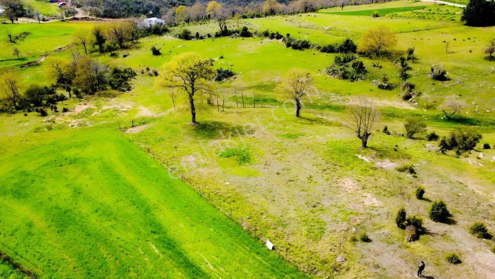 Yoldaş Emlaktan Gebze Kargalıda Satılık 2931 M² Tarla - Görsel 9