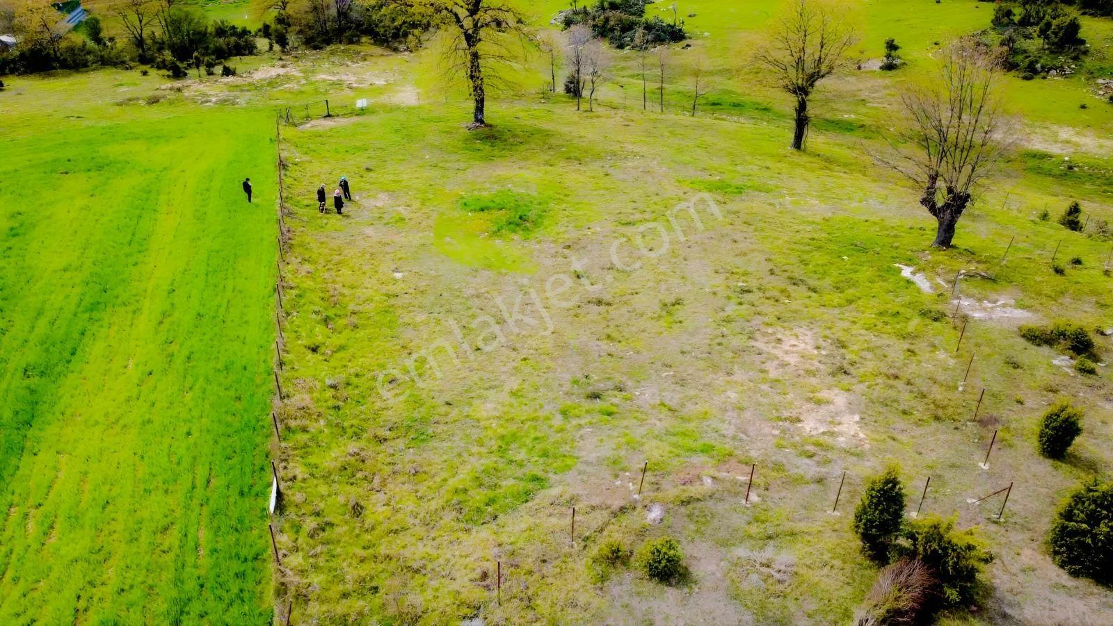 Yoldaş Emlaktan Gebze Kargalıda Satılık 2931 M² Tarla - Görsel 6