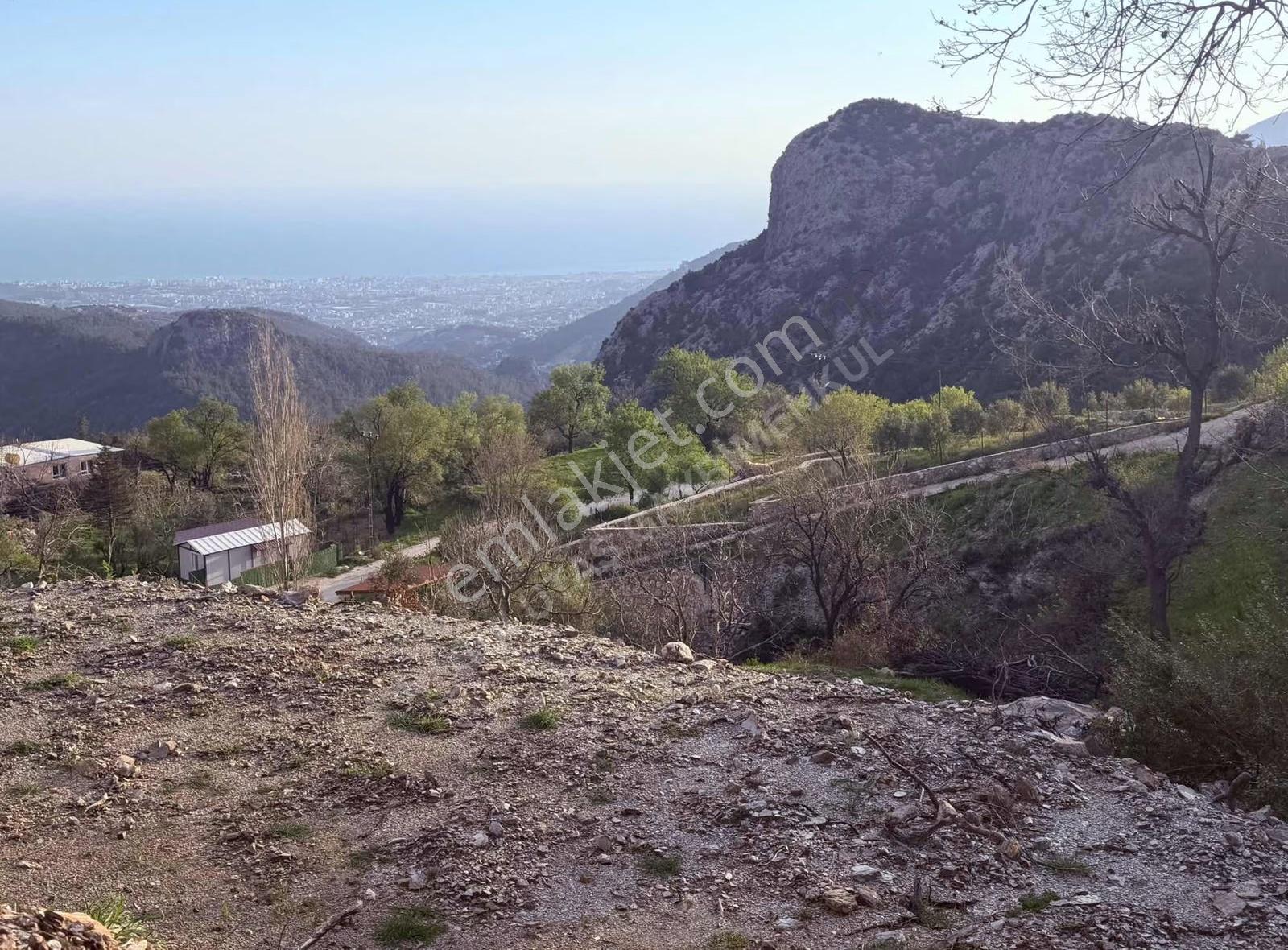 Alanya Bademağacı Mah.ful Deniz Manzaralı 1308 M2 Satılık Tarla