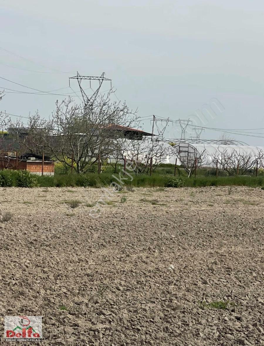 Bahçeağlı'da Hiseli 250m2 Tarla Yetki Sahibi Delfa Emlak - Görsel 12