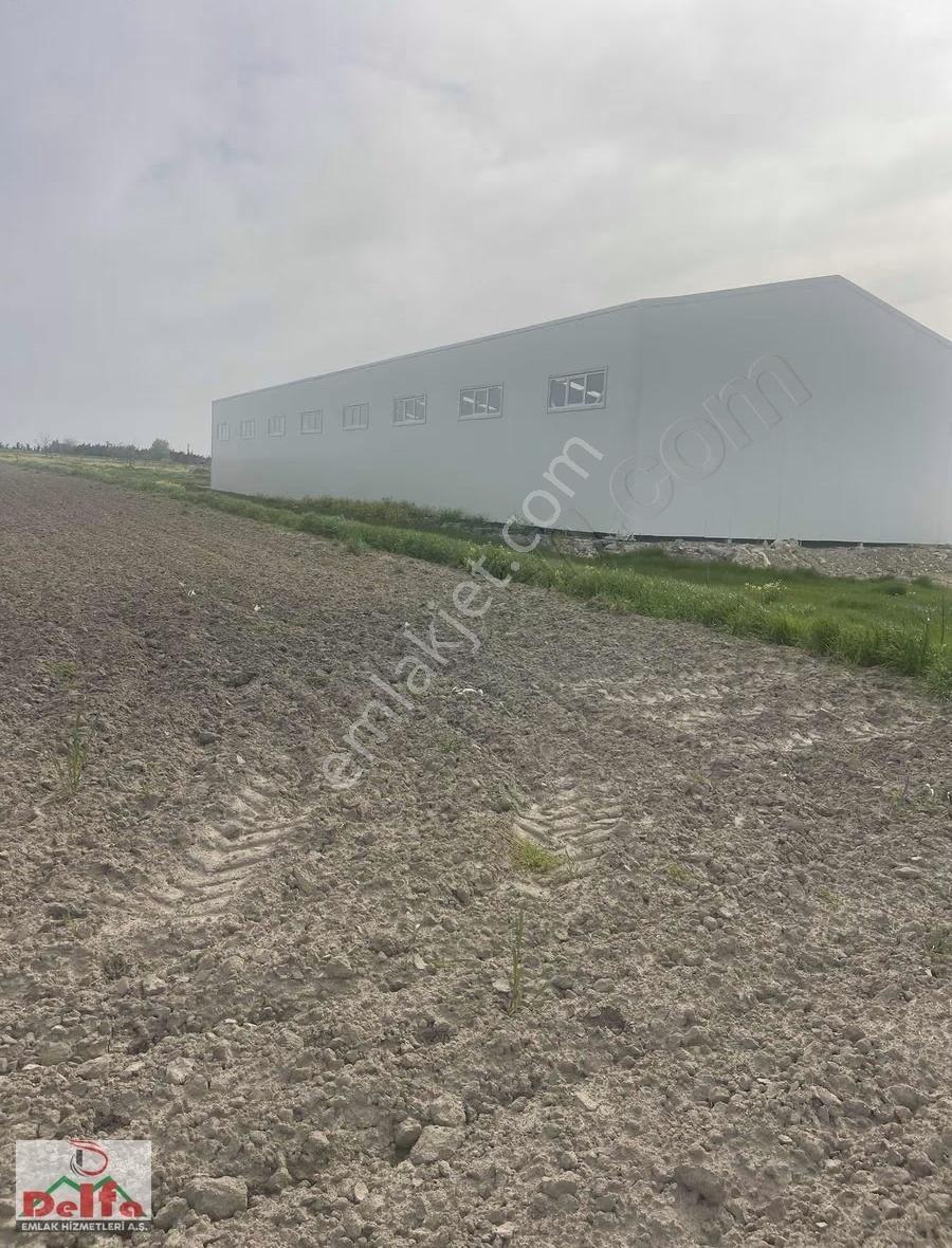 Bahçeağlı'da Hiseli 250m2 Tarla Yetki Sahibi Delfa Emlak - Görsel 8