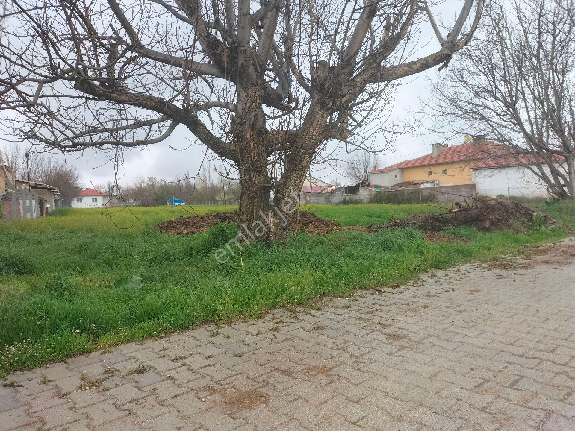 Konya Ereğli Çimencik Mahallesinde 13 Evlek İçinde 2+1 Evi İle Satılık - Görsel 27