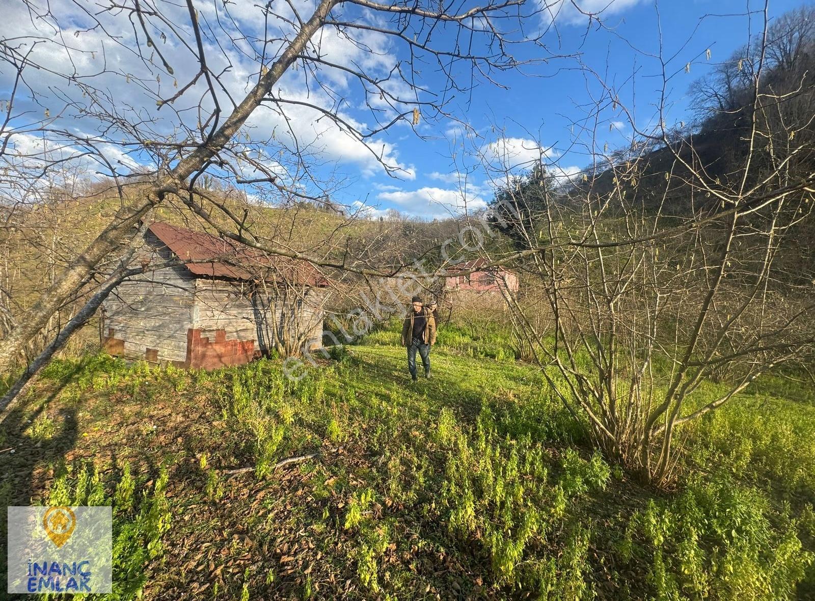İnanç Emlaktan Giresun Boztekke Köyünde 29,6 Dönüm Satılık Bahçe - Görsel 9