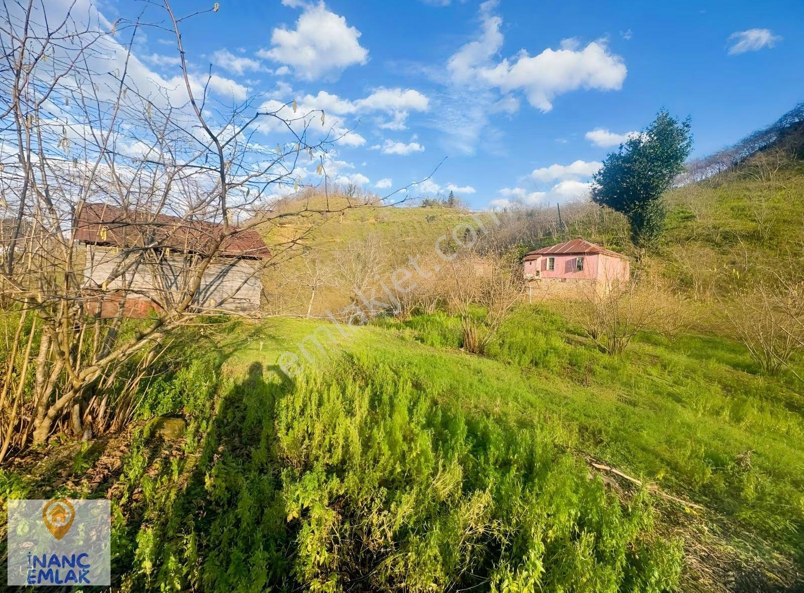 İnanç Emlaktan Giresun Boztekke Köyünde 29,6 Dönüm Satılık Bahçe