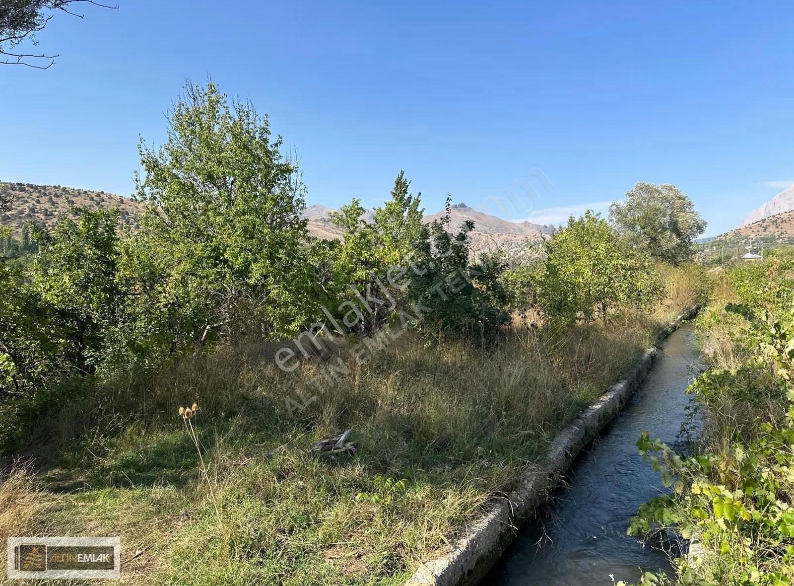Adana- Pozantı Aşçıbekirli'de Geniş"12940" M2. Verimli Bağ-bahçe - Görsel 9