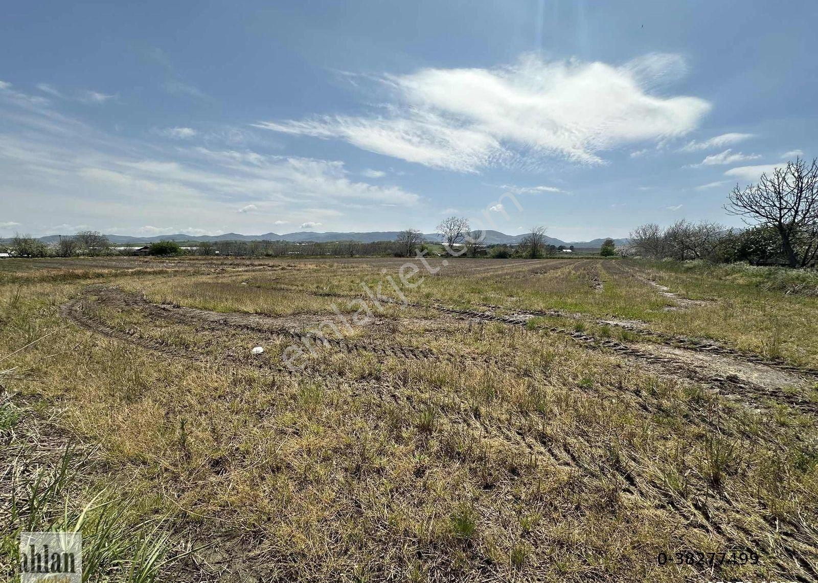 Gönen Tırnova Mahallesi 11.300 Metre² Çeltik Arazisi - Görsel 2