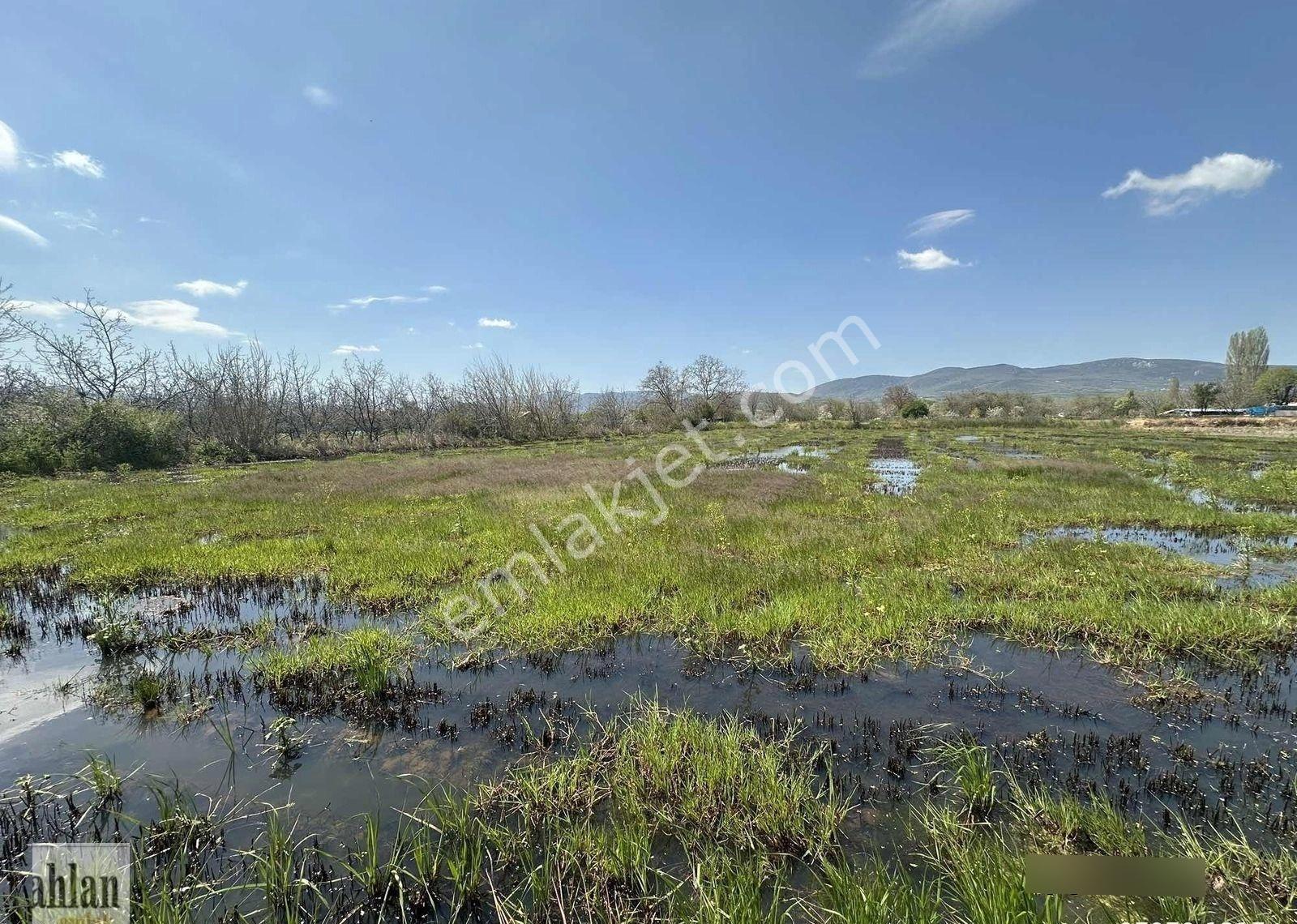 Gönen Tırnova Mahallesi 11.300 Metre² Çeltik Arazisi - Görsel 11