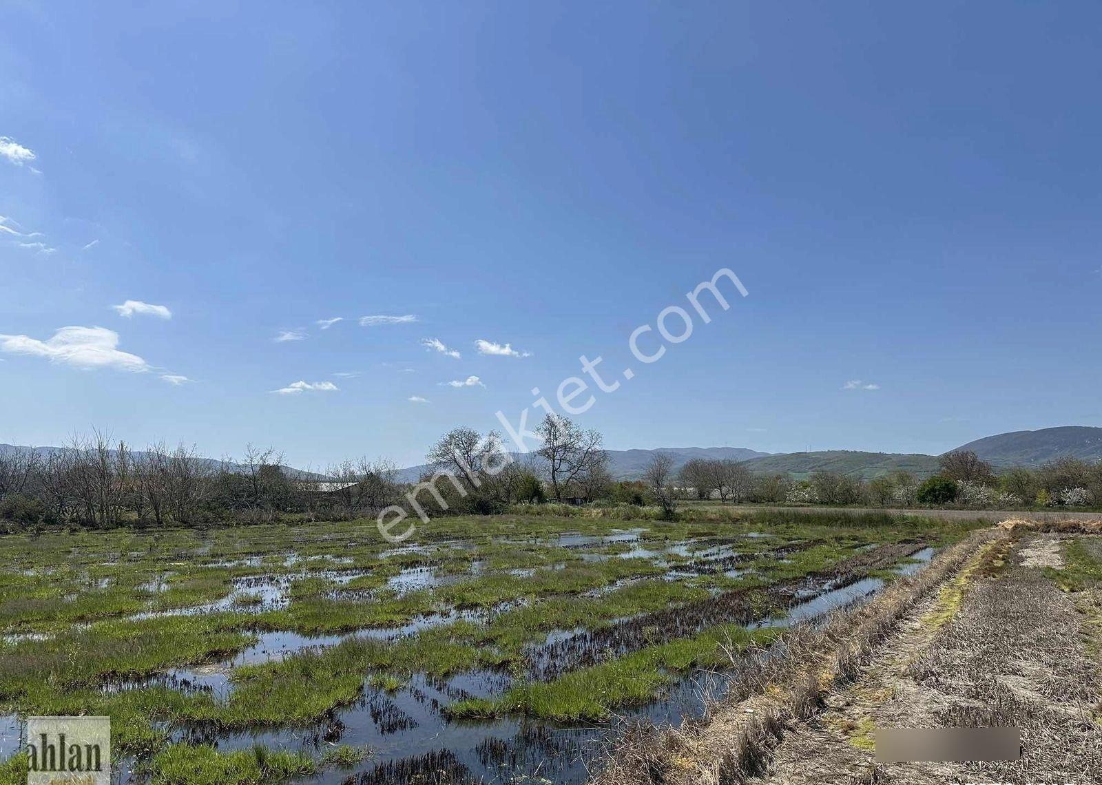 Gönen Tırnova Mahallesi 11.300 Metre² Çeltik Arazisi - Görsel 15