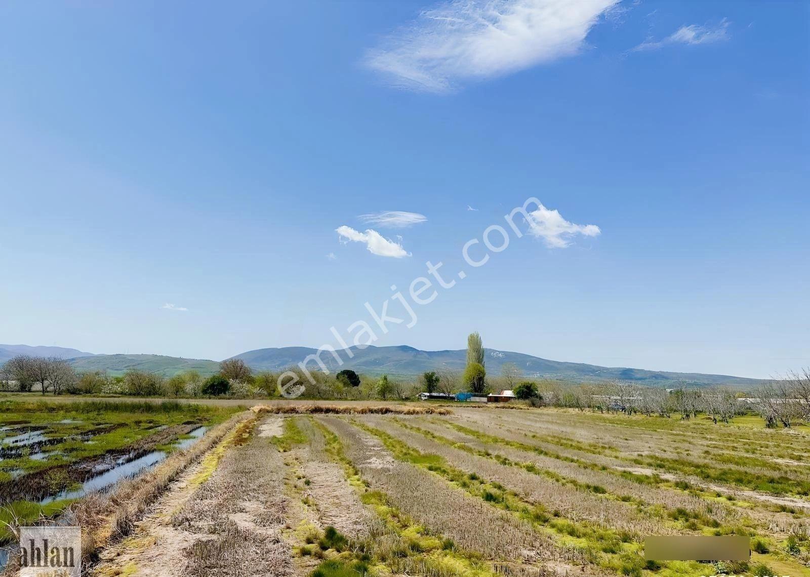 Gönen Tırnova Mahallesi 11.300 Metre² Çeltik Arazisi - Görsel 5