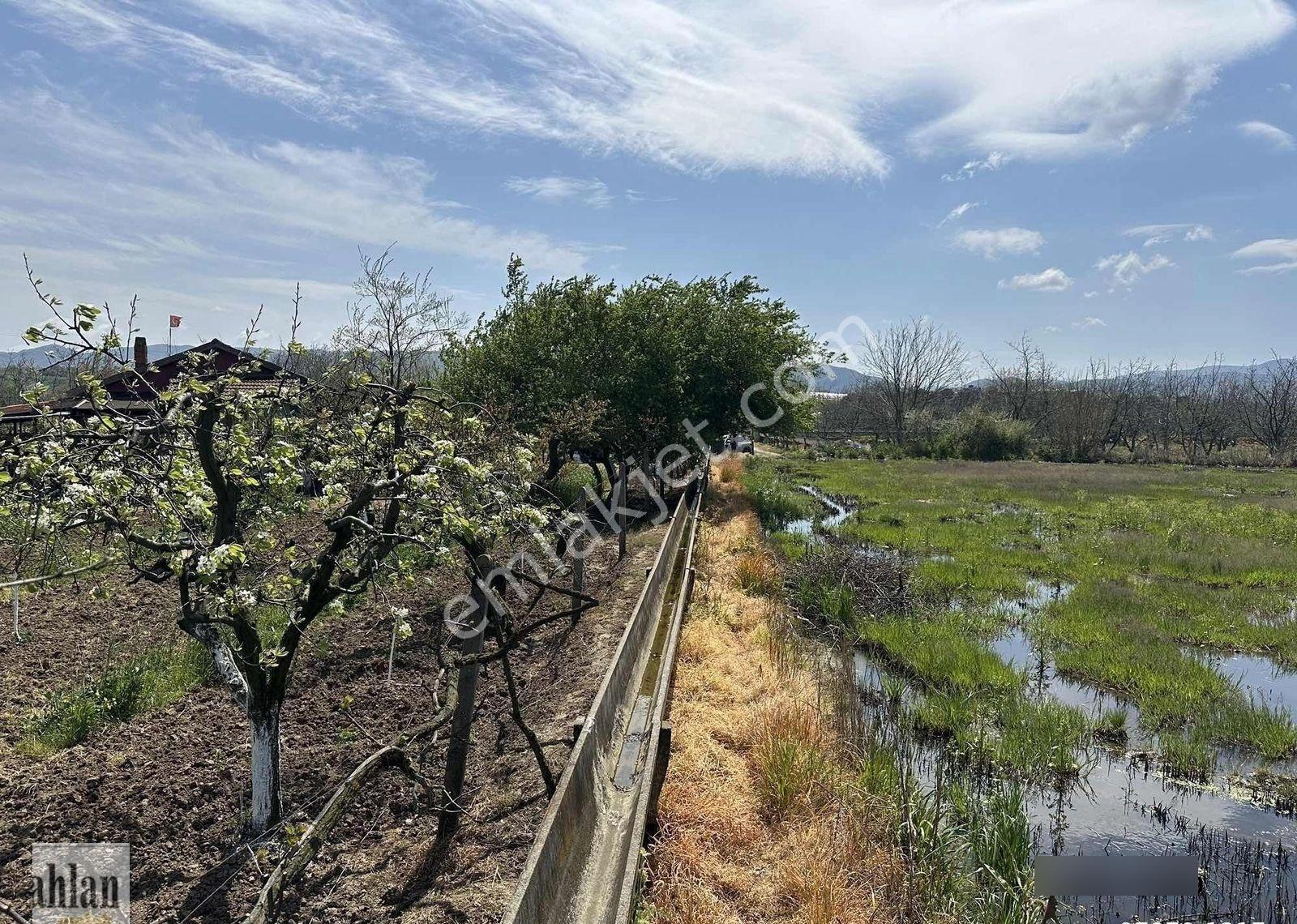 Gönen Tırnova Mahallesi 11.300 Metre² Çeltik Arazisi - Görsel 13