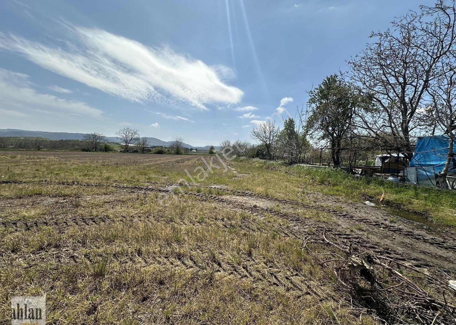 Gönen Tırnova Mahallesi 11.300 Metre² Çeltik Arazisi - Görsel 10