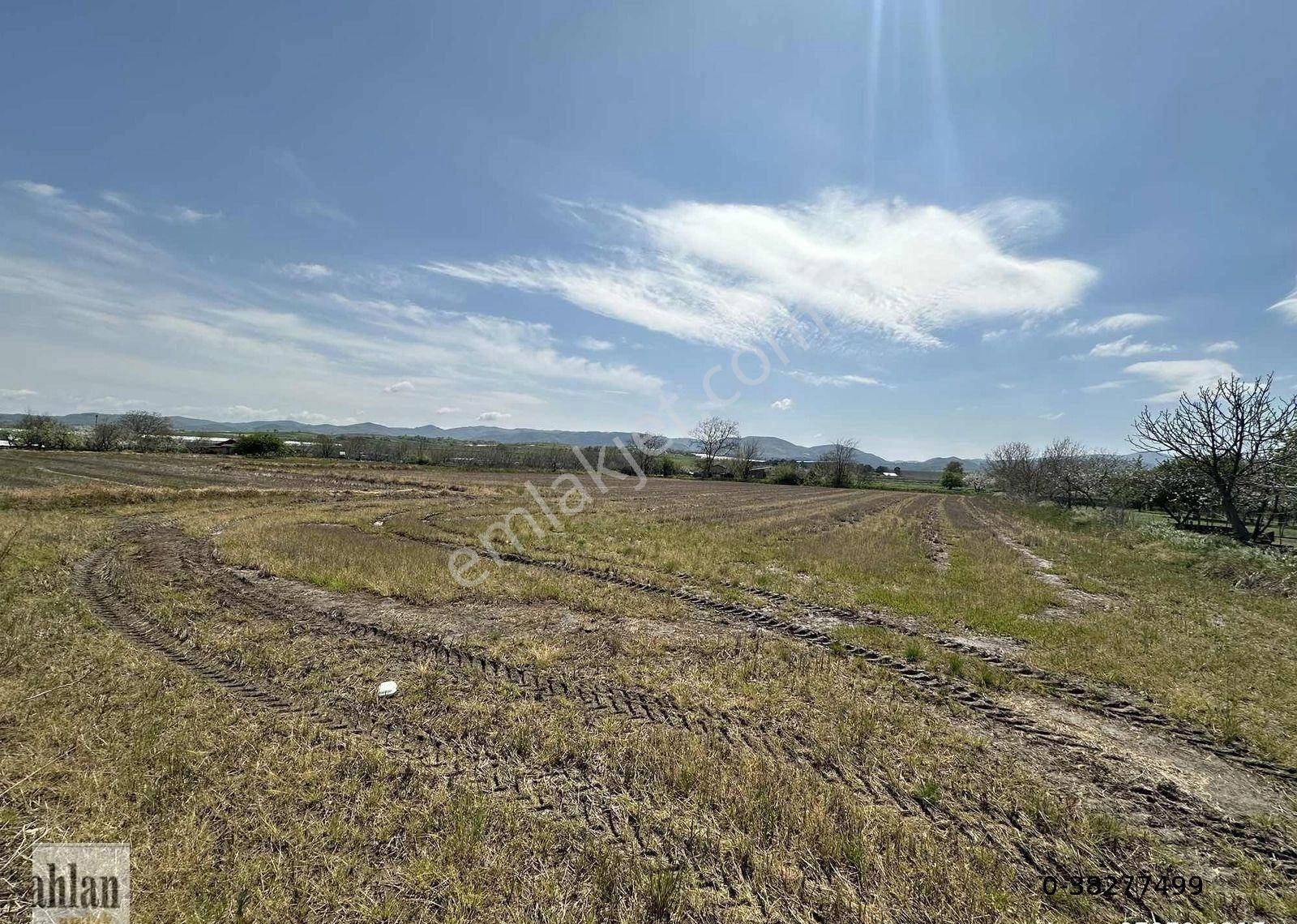 Gönen Tırnova Mahallesi 11.300 Metre² Çeltik Arazisi - Görsel 6