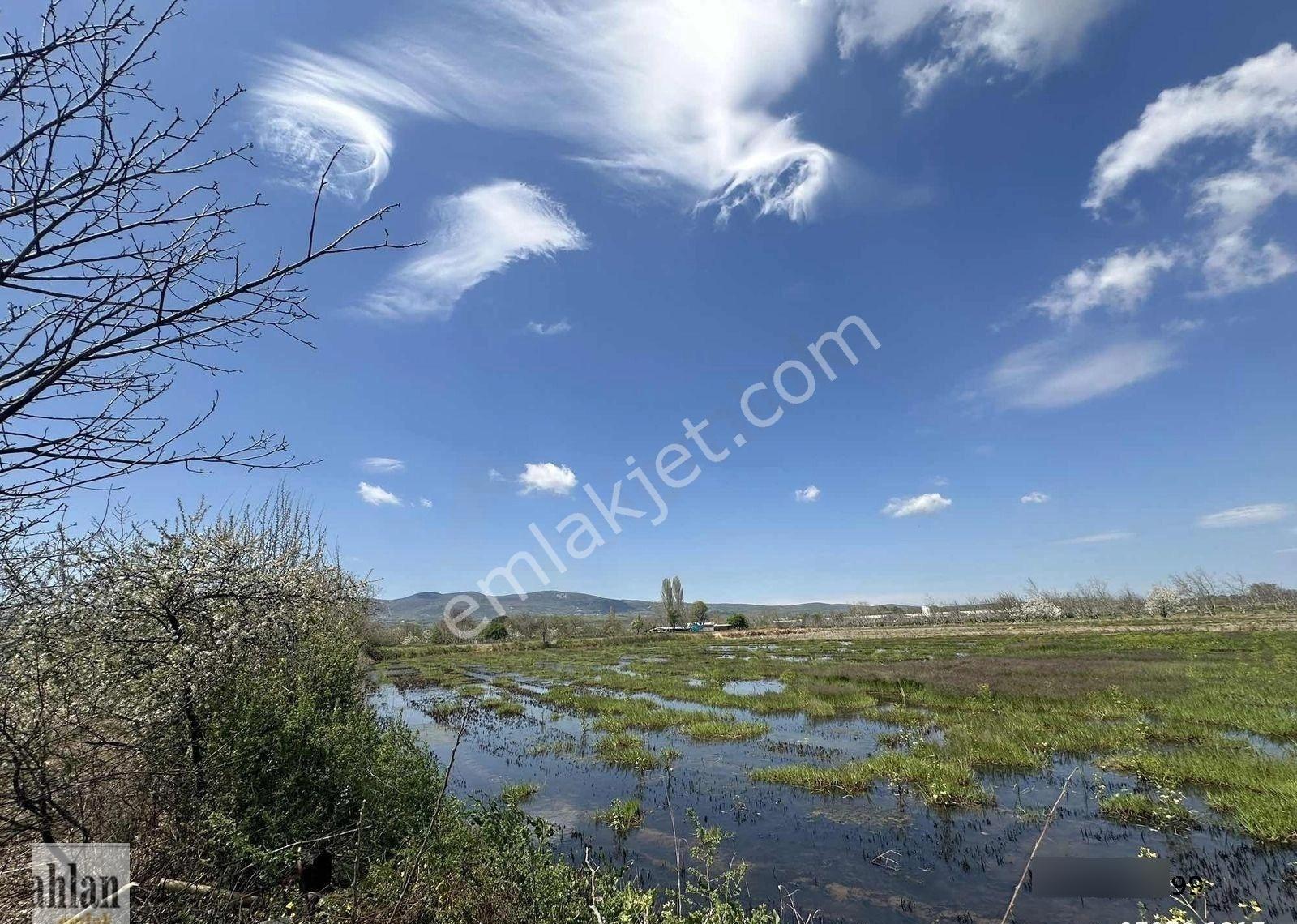 Gönen Tırnova Mahallesi 11.300 Metre² Çeltik Arazisi - Görsel 7