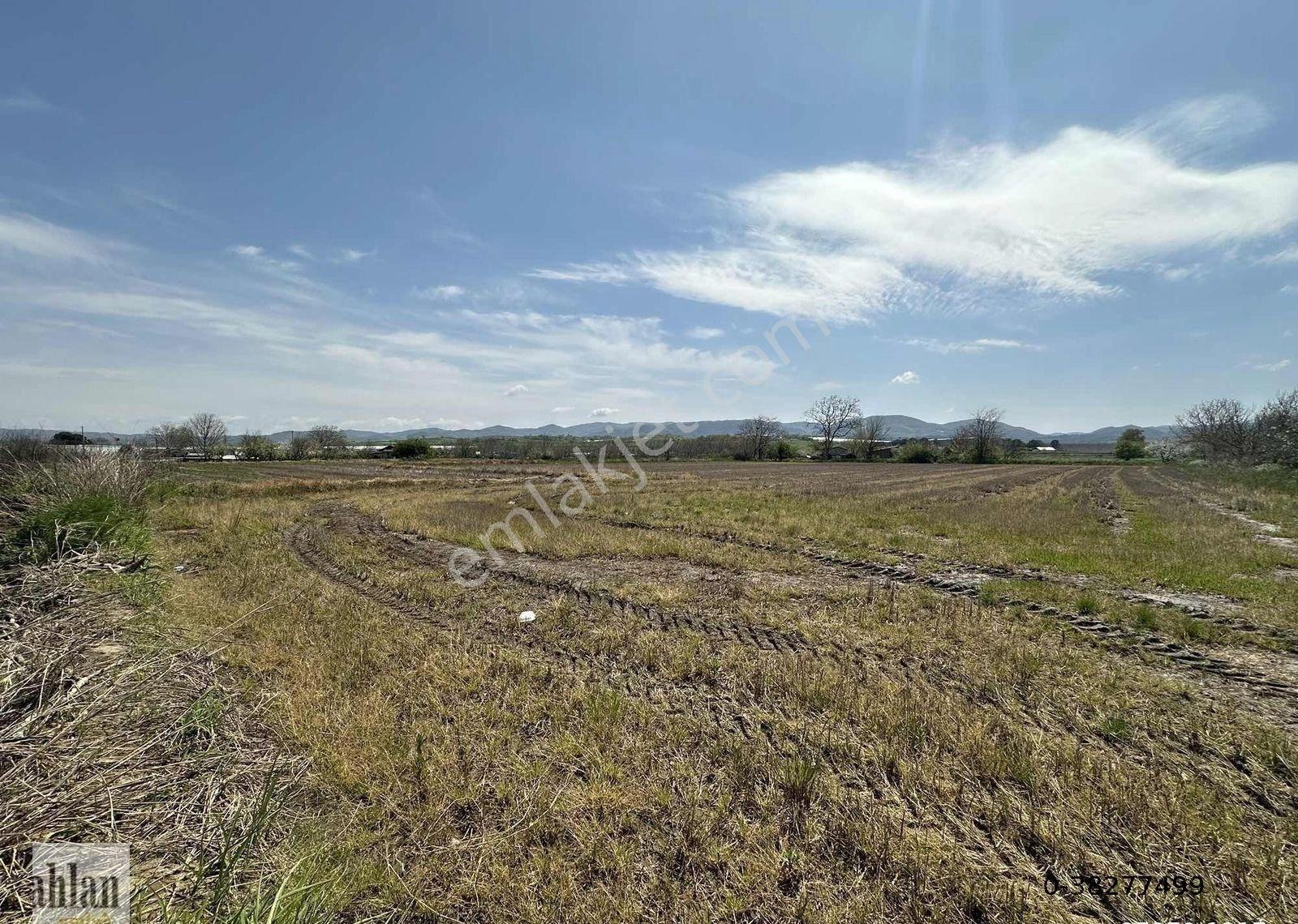 Gönen Tırnova Mahallesi 11.300 Metre² Çeltik Arazisi