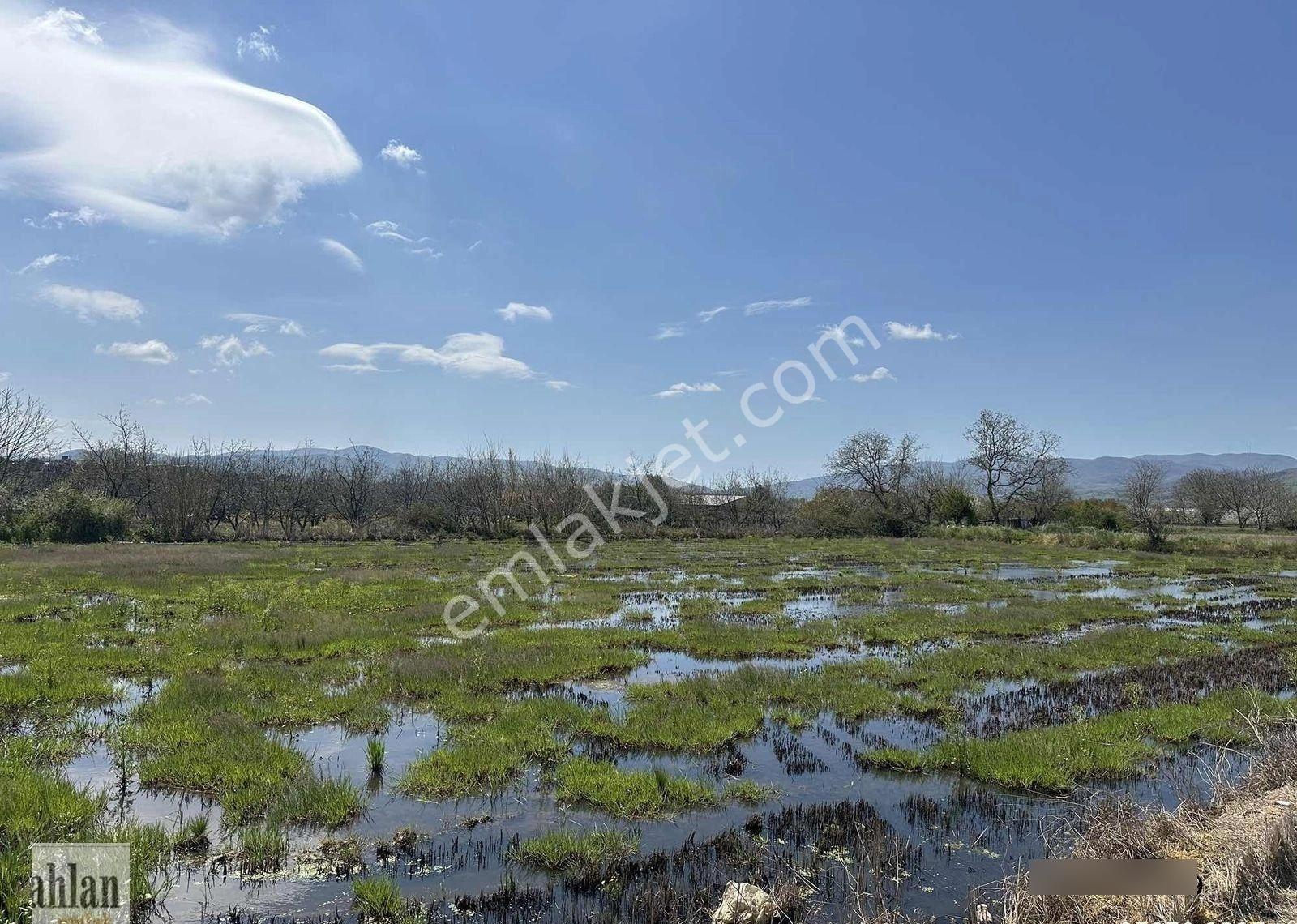 Gönen Tırnova Mahallesi 11.300 Metre² Çeltik Arazisi - Görsel 16