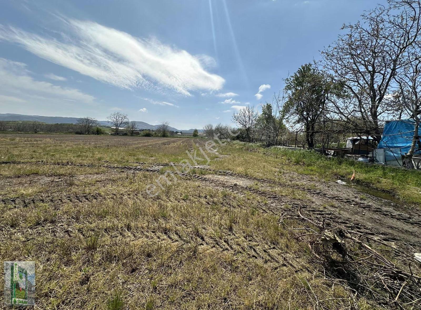 Gönen Tırnova Mahallesi 11.300 Metre² Çeltik Arazisi - Görsel 7