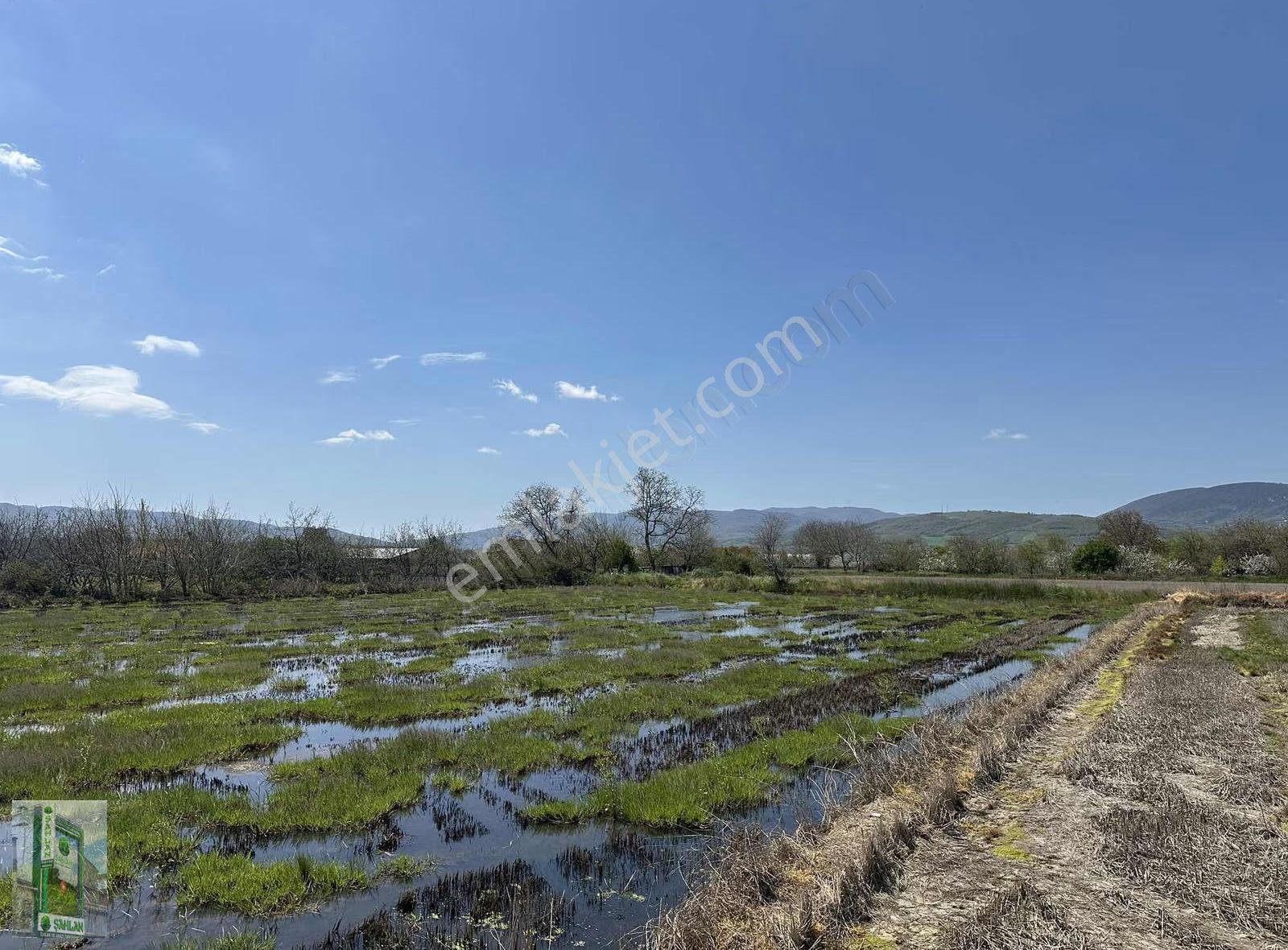 Gönen Tırnova Mahallesi 11.300 Metre² Çeltik Arazisi - Görsel 13