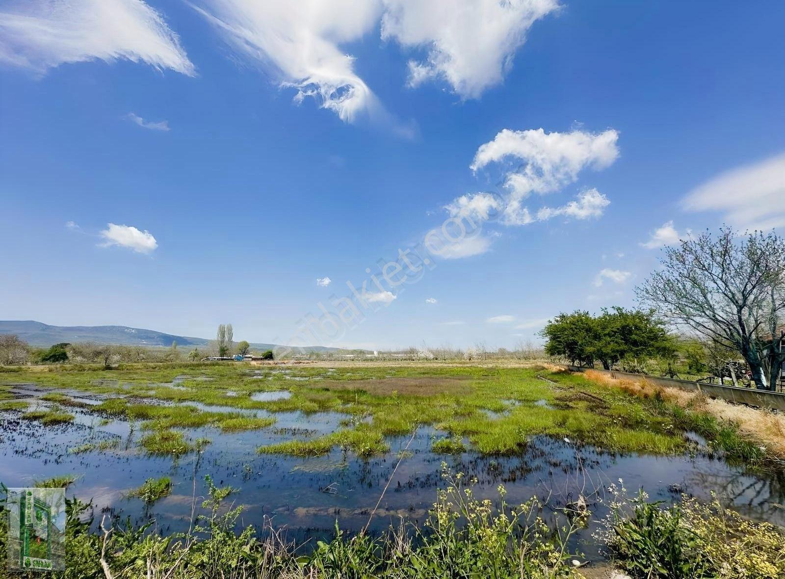 Gönen Tırnova Mahallesi 11.300 Metre² Çeltik Arazisi - Görsel 4