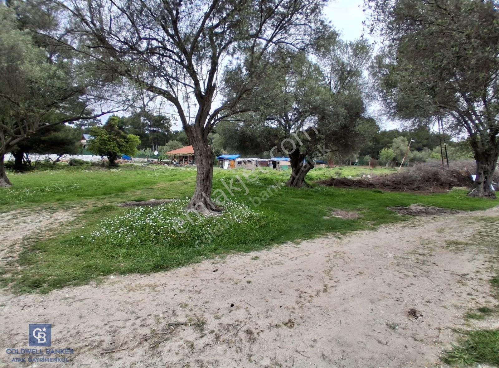 İzmir Urla Çeşmealtı Güvendik Mahnde Eşsiz Yatırım Fırsatı - Görsel 19