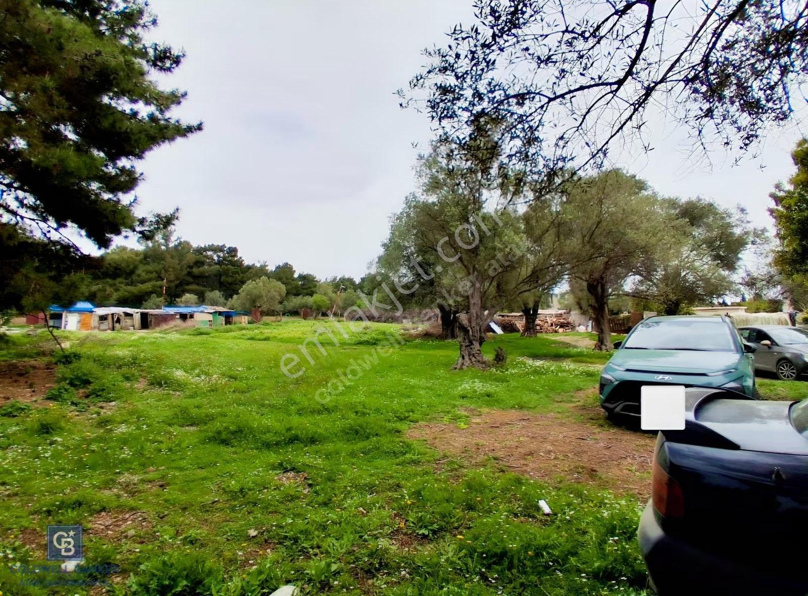 İzmir Urla Çeşmealtı Güvendik Mahnde Eşsiz Yatırım Fırsatı - Görsel 9