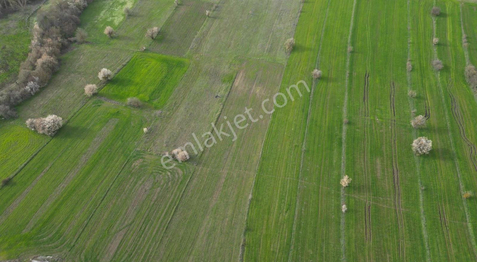 Tekke Mh Satılık Tarla2,900 M2 Ada 141 Parsel 9 Tek Kişiye Ait - Görsel 15