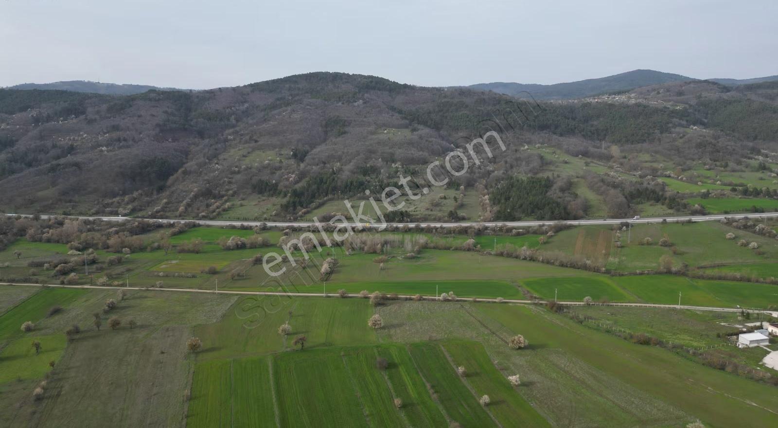Tekke Mh Satılık Tarla2,900 M2 Ada 141 Parsel 9 Tek Kişiye Ait - Görsel 2