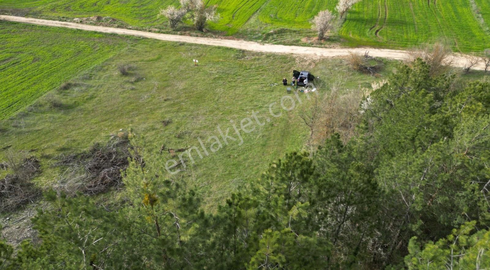Tekke Mh Satılık Tarla2,900 M2 Ada 141 Parsel 9 Tek Kişiye Ait - Görsel 6