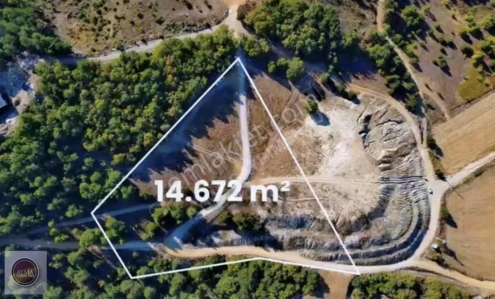 Doğancı Dağ Yenice Arası Yatırımlık Tarla - Görsel 4