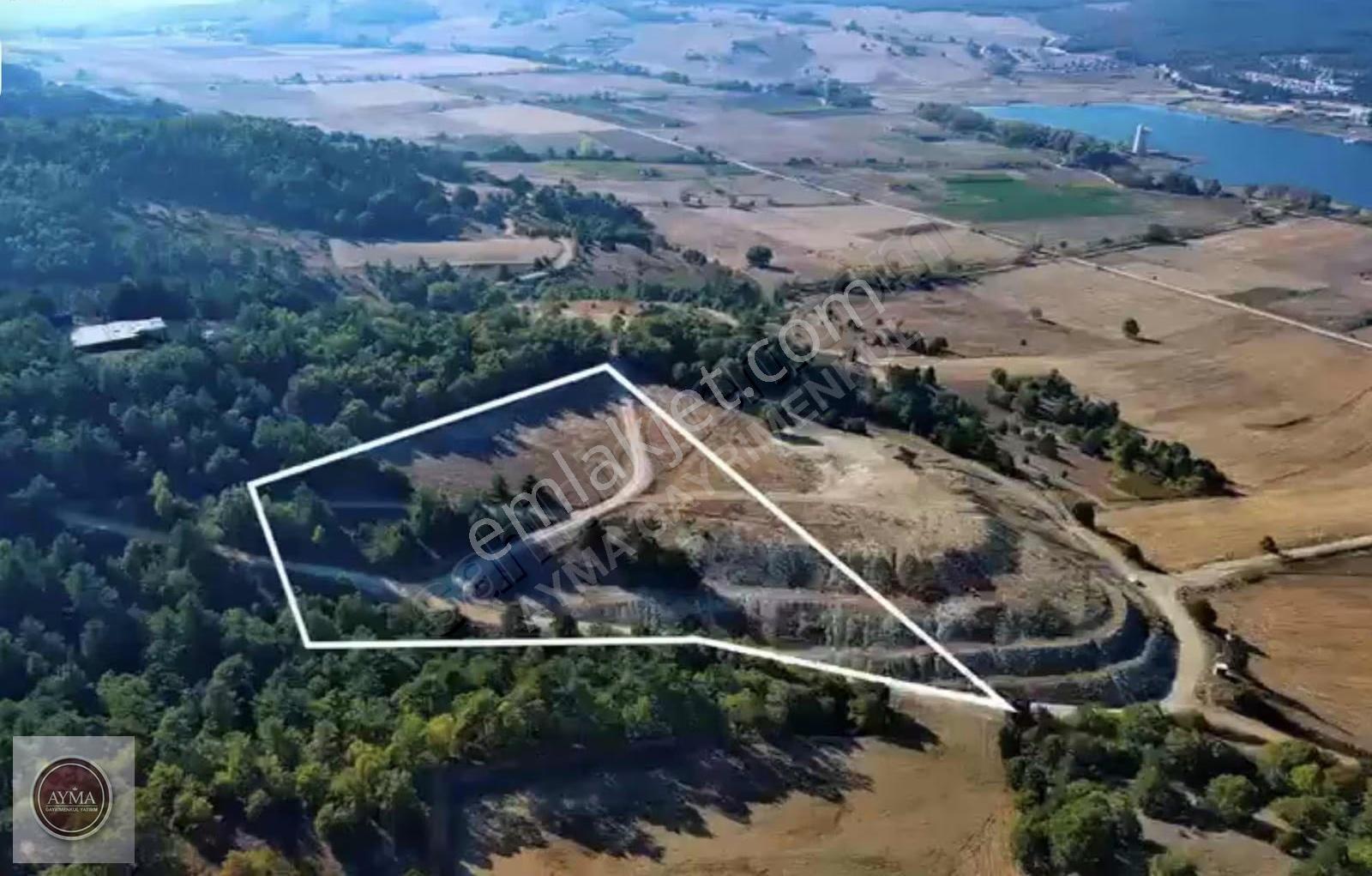 Doğancı Dağ Yenice Arası Yatırımlık Tarla