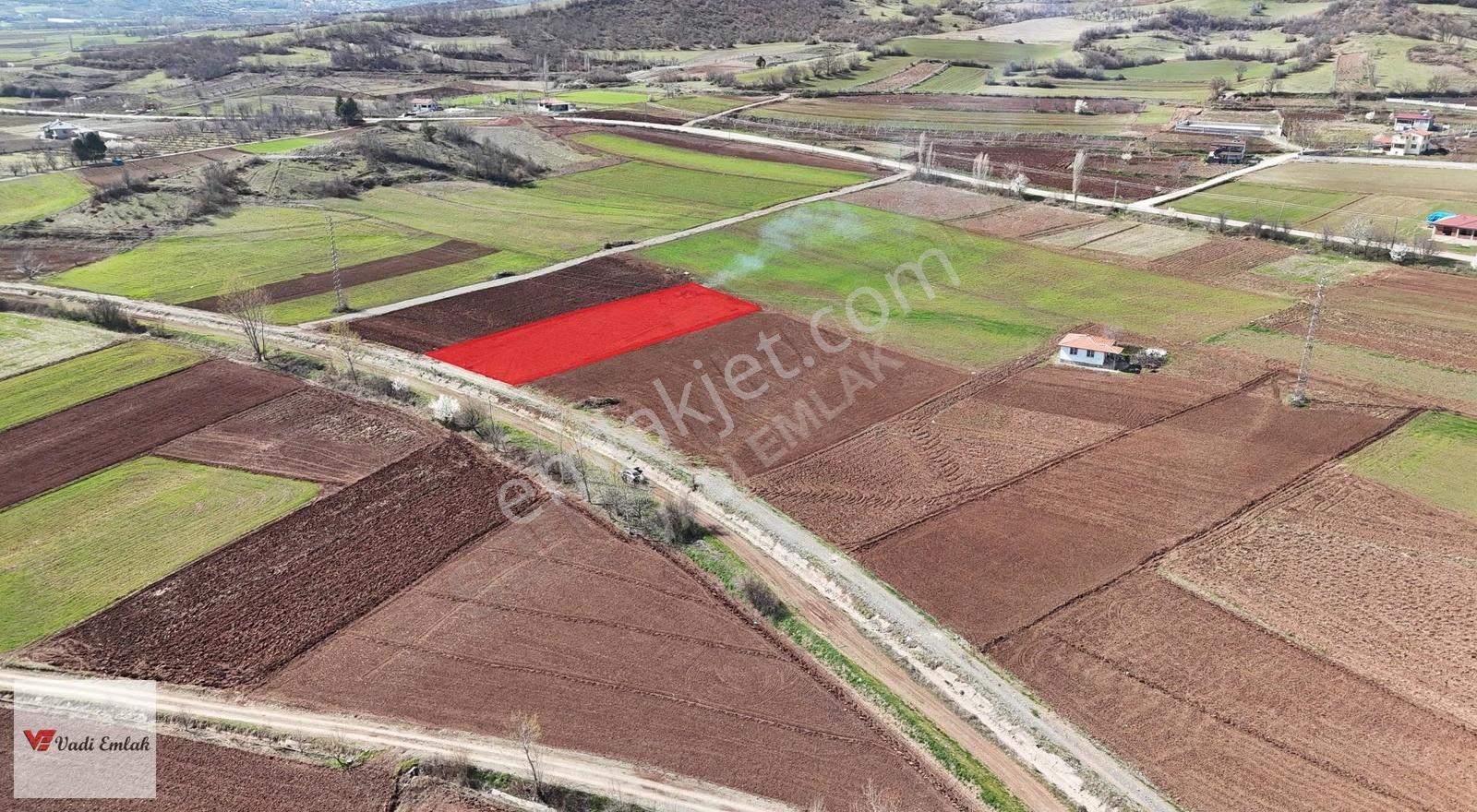 Yazıbaşı Köyü'nde Satılık 1.861 M² Tarla | Vadi Emlak - Görsel 8