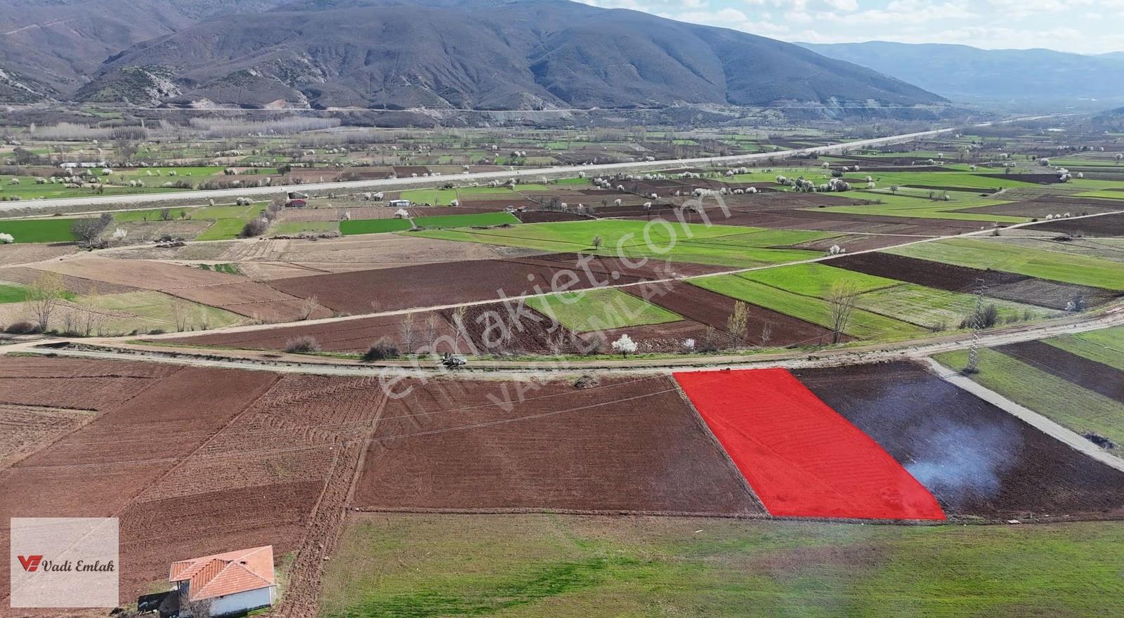 Yazıbaşı Köyü'nde Satılık 1.861 M² Tarla | Vadi Emlak - Görsel 5