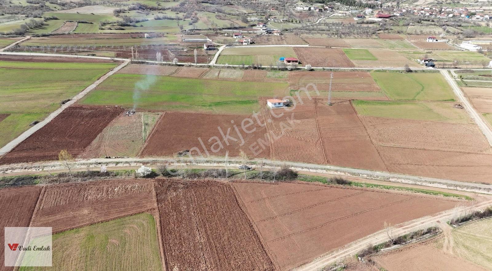 Yazıbaşı Köyü'nde Satılık 1.861 M² Tarla | Vadi Emlak - Görsel 6