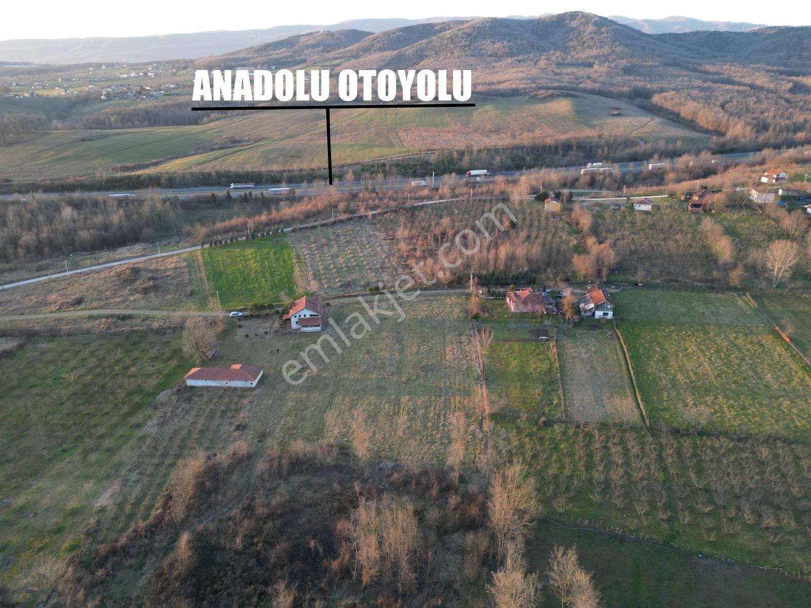 Öğretmen'den Düzce Yeşilyayla'da Satılık Arsa - Görsel 2