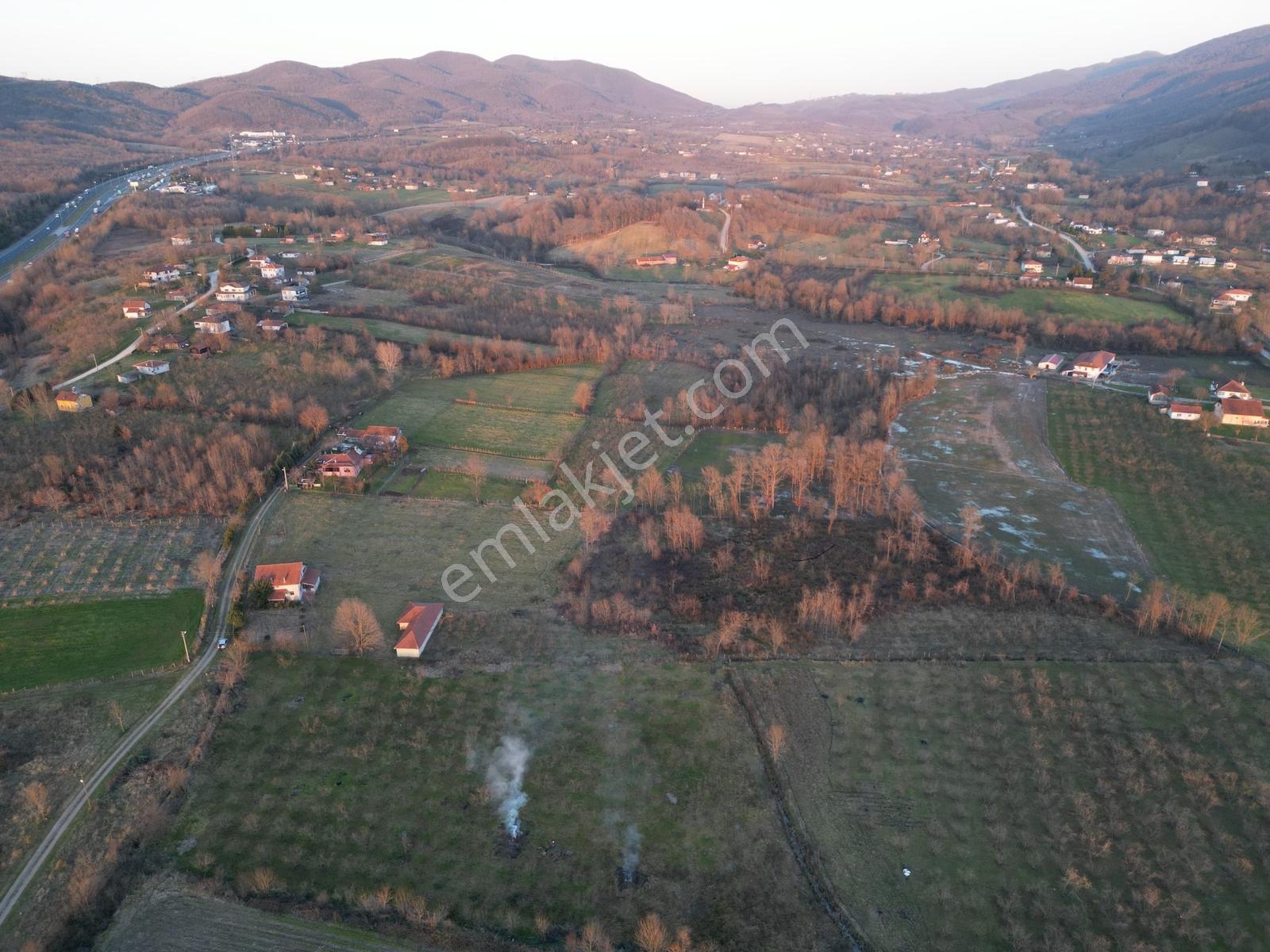 Öğretmen'den Düzce Yeşilyayla'da Satılık Arsa - Görsel 20