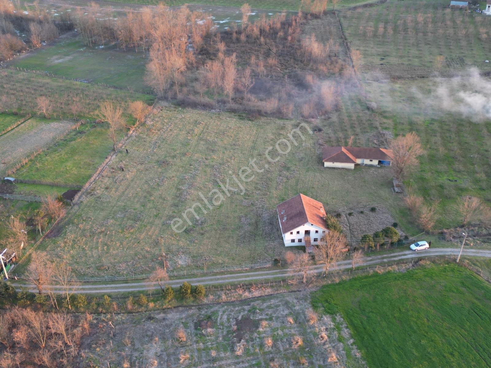 Öğretmen'den Düzce Yeşilyayla'da Satılık Arsa - Görsel 12